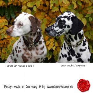 Hundehalsband-Leder-Mix-5-reihig-Olive-9