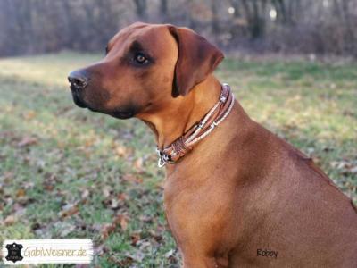 Hundehalsband-Leder-Mix-in-Braun-Perlmutt.-Rhodesian-Ridgeback-Robby-2 (1)