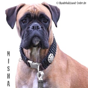Hundehalsband-Leder-Nisha6