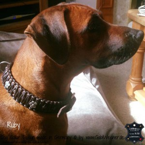Hundehalsband-Leder-Ruby-1         