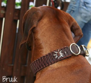 Hundehalsband-Leder-Zugstop---Bruuk-1