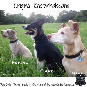 Hundehalsband-Leder-kleiner-Klickverschluss