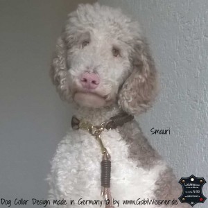 Hundehalsband-Leder-mix-3-cm-breit-Smauri-1       