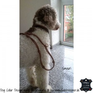 Hundehalsband-Leder-mix-3-cm-breit-Smauri-4       