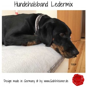 Hundehalsband-Lederhalsband-5-Reihen-Grau-verstellbar-Max-2          