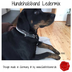 Hundehalsband-Lederhalsband-5-Reihen-Grau-verstellbar-Max-3          