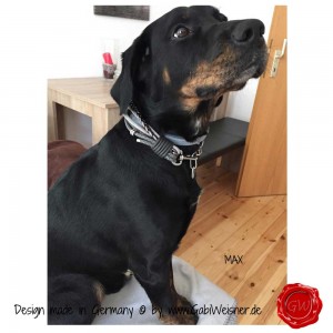 Hundehalsband-Lederhalsband-5-Reihen-Grau-verstellbar-Max-4          