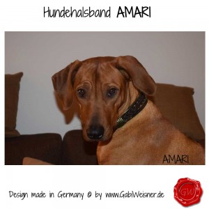 Hundehalsband-Lederhalsband-AMARI-OLIVE-1