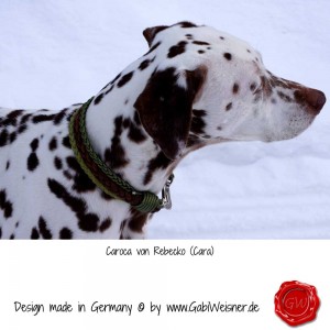 Hundehalsband-Lederhalsband-Carioca-1