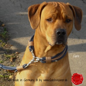Hundehalsband-Lederhalsband-Carlo-1