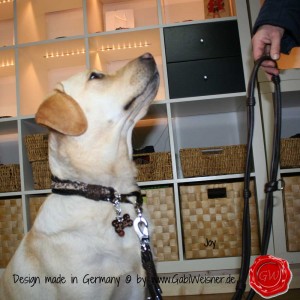 Hundehalsband-Lederhalsband-Joy-6