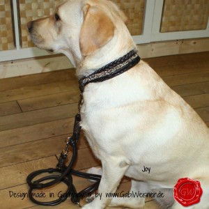 Hundehalsband-Lederhalsband-Joy-8