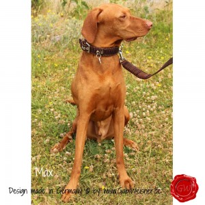 Hundehalsband-Lederhalsband-Knotenhalsband-Max-3          