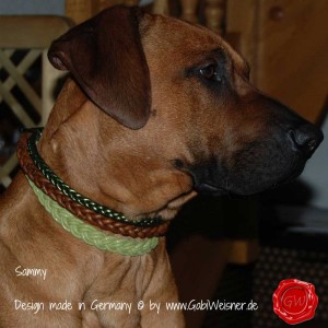 Hundehalsband-Lederhalsband-Ledermix-Sammy
