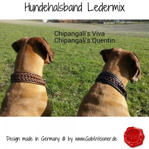 Hundehalsband-Lederhalsband-Ledermix-Viva-1