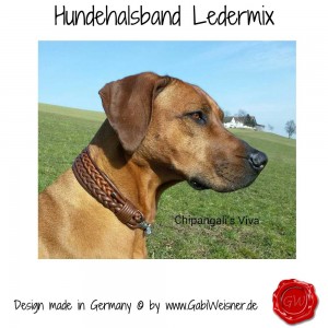 Hundehalsband-Lederhalsband-Ledermix-Viva-2