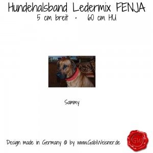 Hundehalsband-Lederhalsband-rot-5-cm-breit-FENJA-10