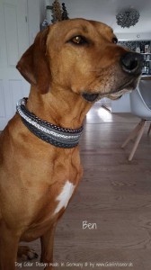 Hundehalsband-Ledermix-5-cm-breit-5        