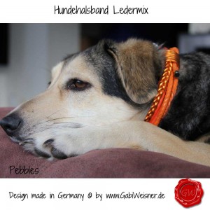 Hundehalsband-Ledermix-7 (1)