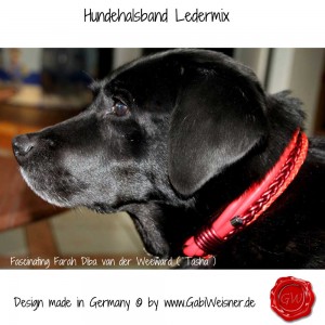 Hundehalsband-Ledermix-9