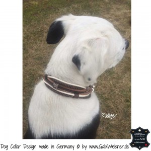Hundehalsband-Ledermix-Braun-Beige-8      