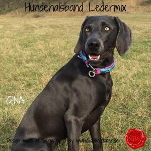 Hundehalsband-Ledermix-GINA-1