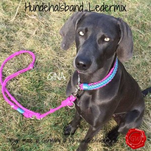 Hundehalsband-Ledermix-GINA-2