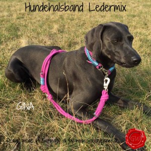 Hundehalsband-Ledermix-GINA-3