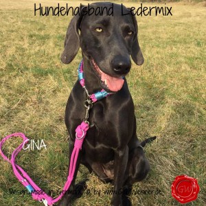 Hundehalsband-Ledermix-GINA-4
