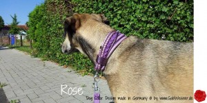 Hundehalsband-Ledermix-GabiWeisner--Rose-1        