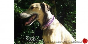 Hundehalsband-Ledermix-GabiWeisner--Rose-4         