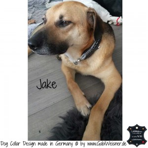 Hundehalsband-Ledermix-Jake-1      