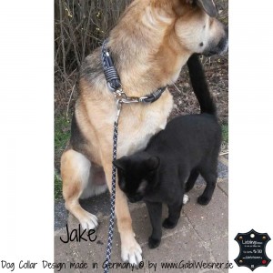 Hundehalsband-Ledermix-Jake-3      