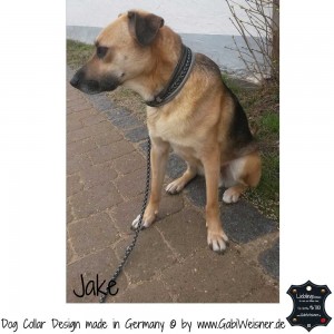 Hundehalsband-Ledermix-Jake-4      