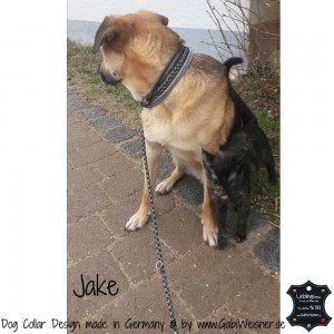 Hundehalsband-Ledermix-Jake-5      