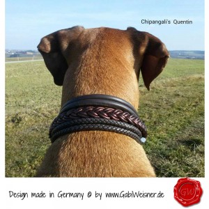 Hundehalsband-Ledermix-Schokomix-5