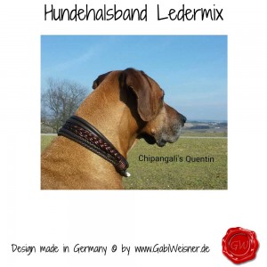 Hundehalsband-Ledermix-Schokomix-6