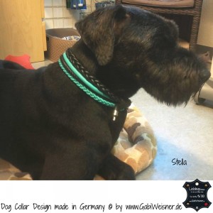Hundehalsband-Ledermix-Stella       