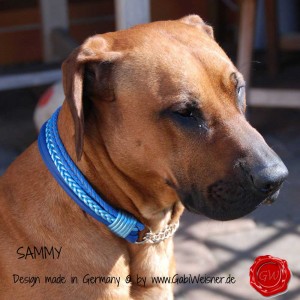 Hundehalsband-Ledermix-mit-Zugstoppkette-2