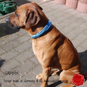 Hundehalsband-Ledermix-mit-Zugstoppkette-4