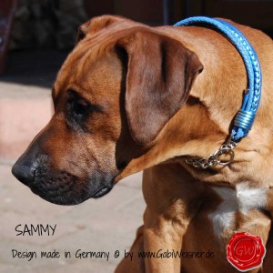 Hundehalsband-Ledermix-mit-Zugstoppkette-5