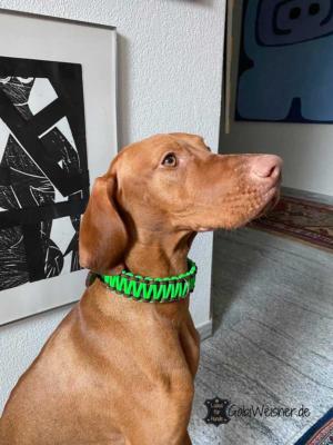 Hundehalsband-Neon-Grün-Braun-Bonnie