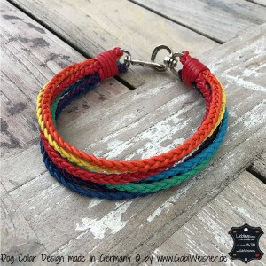 Hundehalsband-Regenbogen-3-cm-42-cm-HU (1)
