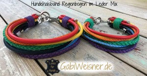 Hundehalsband-Regenbogen-beide-1