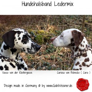 Hundehalsband-Schlangenleder-metallic-geflochten-7