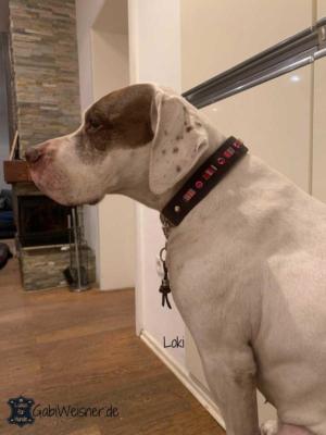 Hundehalsband-im-Ethno-Look-und-dekoriert-mit-Swarovski-Elements-Loki-1