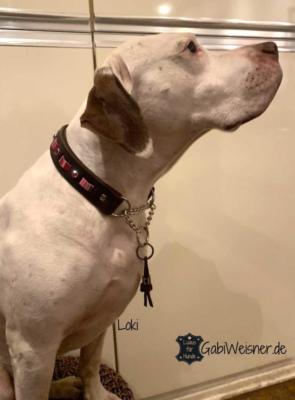 Hundehalsband-im-Ethno-Look-und-dekoriert-mit-Swarovski-Elements-Loki-2