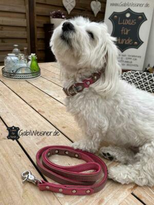 Small Foot Company Hundeset Halsband & Führleine | 15 Mm Breite, Rot | Verstellbar Für Kleine Hunde
