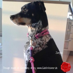 Hundehalsband-pink--Zarpas--2    
