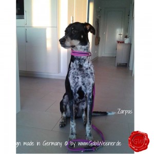Hundehalsband-pink-Zarpas-4    